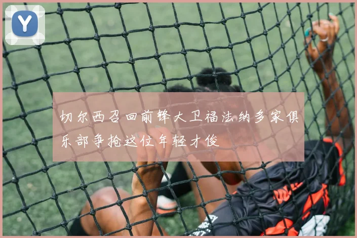 切尔西召回前锋大卫福法纳多家俱乐部争抢这位年轻才俊