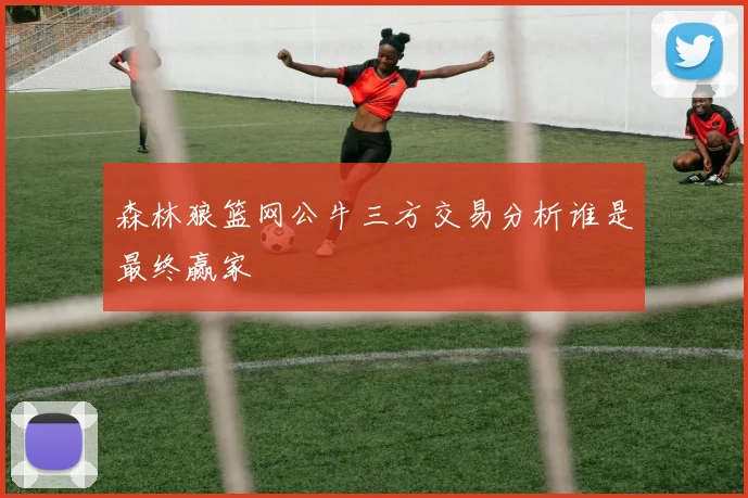 森林狼篮网公牛三方交易分析谁是最终赢家